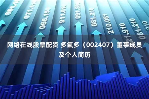 网络在线股票配资 多氟多（002407）董事成员及个人简历
