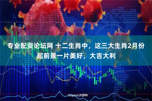 专业配资论坛网 十二生肖中，这三大生肖2月份起前景一片美好，大吉大利